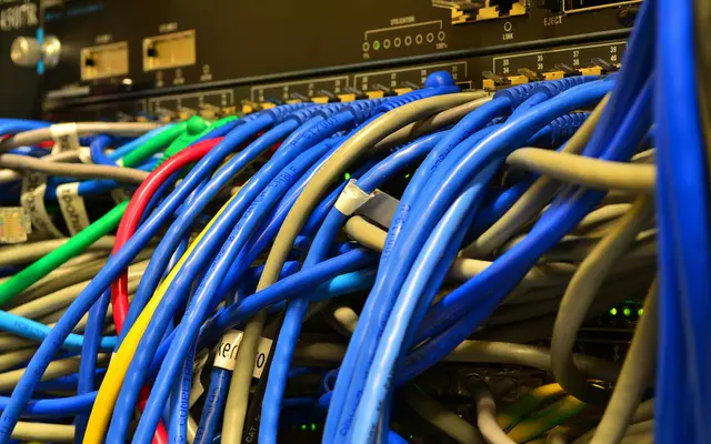 Dense bundle of blue and gray network cables in a switch